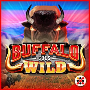 Buffalo Goes Wild