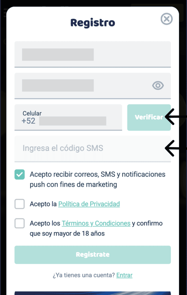Acepta los términos